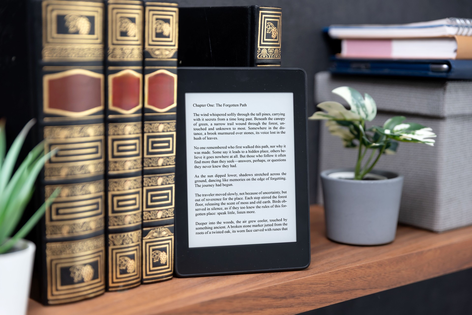 E-book reader device in home library